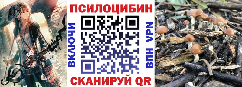 купить наркоту Елизаветинская Галлюциногенные грибы прущие грибы